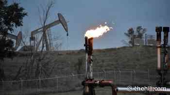 Interior moves to relax rules for drilling on public lands