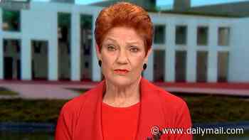 Pauline Hanson issues urgent clarification on her comments about paid parental leave that divided the internet and gave Albo 'opening' - under grilling by Sunrise's Natalie Barr