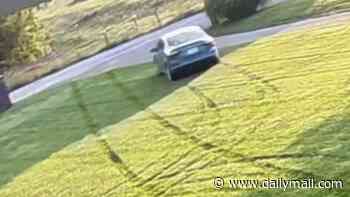 Midwest couple's fury as Amazon driver ruins their pristinely-cut grass by driving on lawn to deliver package