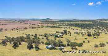 North west cattle country sold under the hammer for $1206/acre
