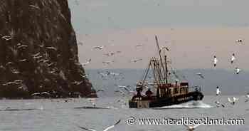 Over 16,500 sign petition urging Scottish Government to ban inshore dredging