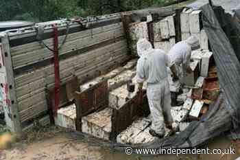 Millions of honeybees escape after semitrailer carrying hives overturns in Texas