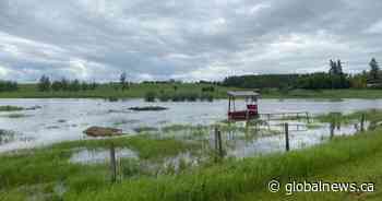 Flooded Alberta farmland raises concerns about crop losses