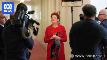 Pauline Hanson clarifies she will not seek to cut paid parental leave