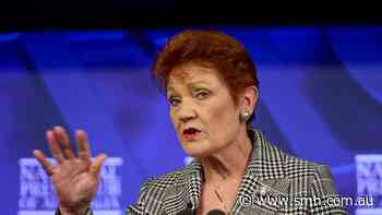 ‘Hanson is wrong’: Plibersek sledges One Nation over paid parental leave