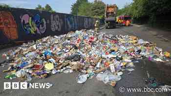 I want to go home safe - binman's plea after garden light causes fire