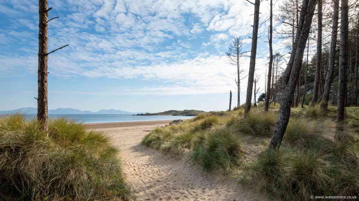Not Rhossili or Barafundle - Wales' best beach is crowned as heatwave arrives