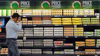 Bird flu safety message is delivered to Aussies worried about buying chicken and eggs at the supermarket