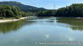Vorsicht beim Baden: Fast alle Eichen am Stausee in Schömberg befallen