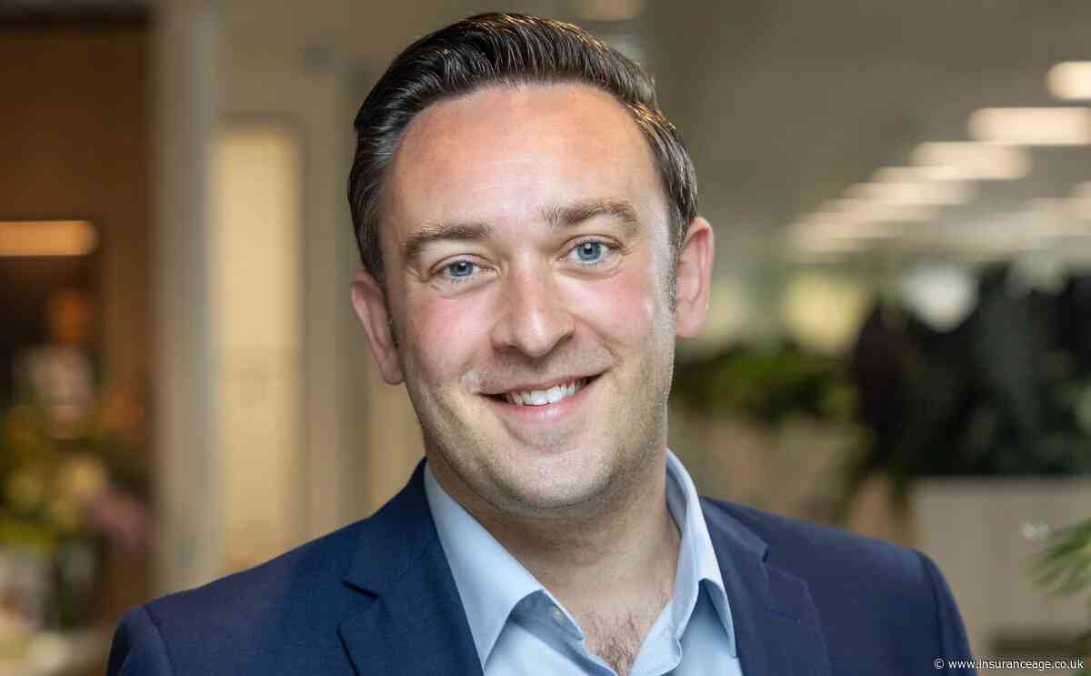 CII creates senior leaders advisory board with Markel’s Napoli as chair