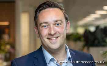 CII creates senior leaders advisory board with Markel’s Napoli as chair