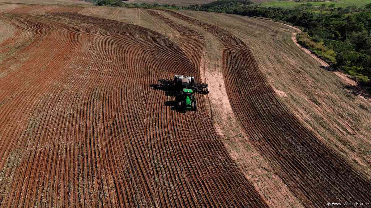Glyphosat-Beschwerde gegen Bayer teilweise angenommen