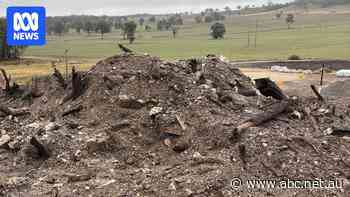 Renewable energy company admits 'failures' caused destruction of Aboriginal site