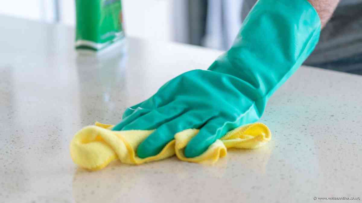 I've cleaned my home with a £2 Home Bargains spray for 5 years - it dissolves grime