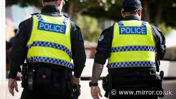 Man shot with nail gun rushed to hospital with fractured skull as police launch investigation