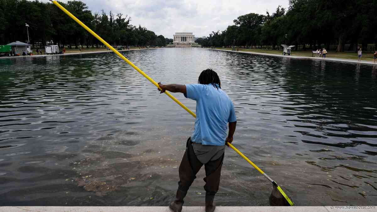 Trump verwerpt dat problemen Reflecting Pool door mislukte renovatie komen, wijst opnieuw naar ’vandalen met mes’