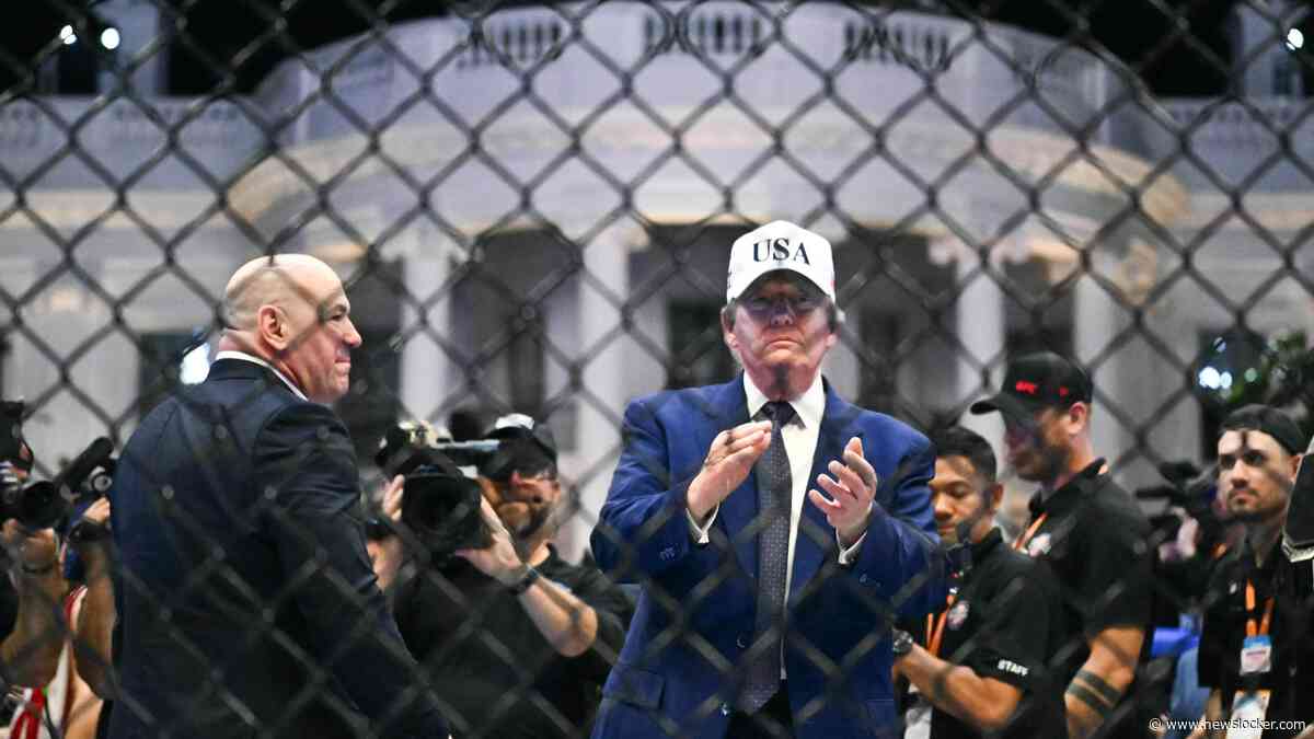 Meer arrestaties om plannen aanval bij kooigevecht Witte Huis op verjaardag Donald Trump