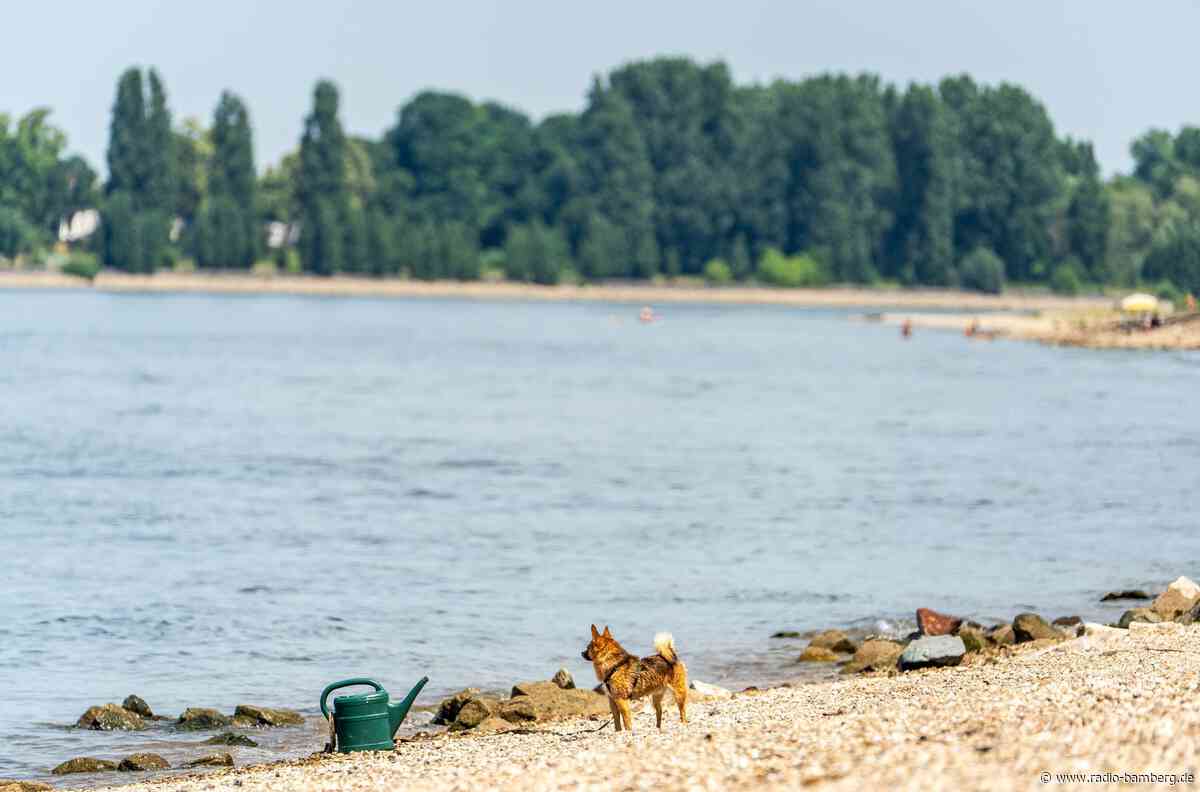 Drei Tote aus dem Rhein in Hessen geborgen