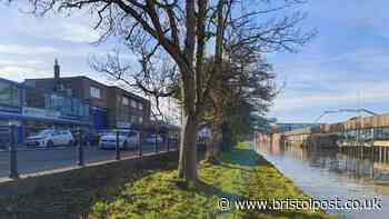 Bristol's ambitious canalside development branded by some as 'pie in the sky'