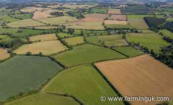 Check RPA records now or risk SFI26 delays, farmers told