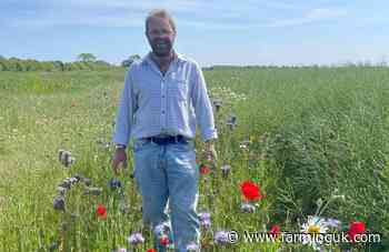 Soil Farmer finalists show cost-cutting power of better soils
