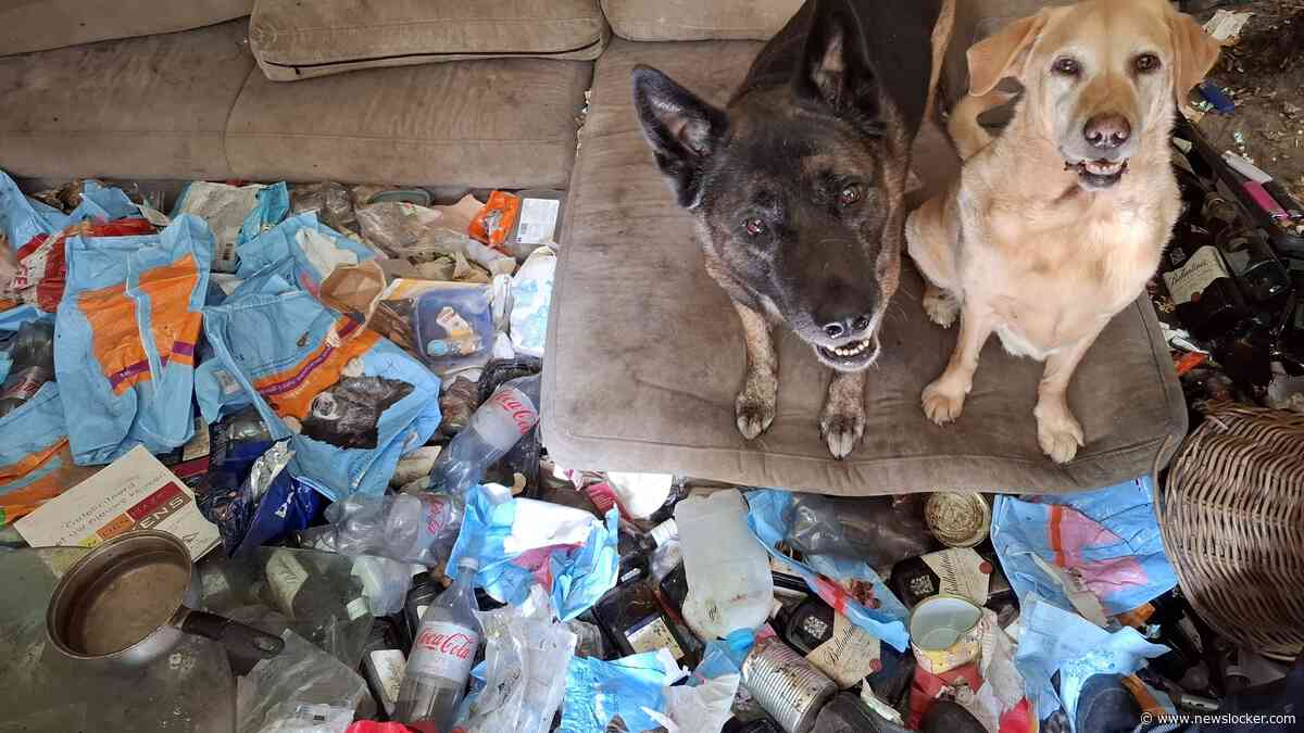 Inspectie doet inval in Elburg en neemt huisdieren in beslag: honden, katten en vogels leefden in ware vuilnisbelt