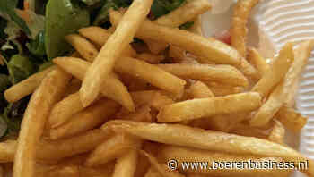 Export veert op door fors lagere fritesprijs