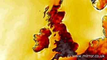 UK weather live: Dozens of schools close in heatwave as thunderstorms hit London