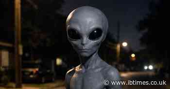 Arkansas Native Shares Vivid UFO and UAP Encounters, Strange 'Being' In Alien Costume That Made 'Gargling Sound'