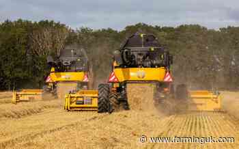 Scottish barley growers show strong regen foundations, study finds