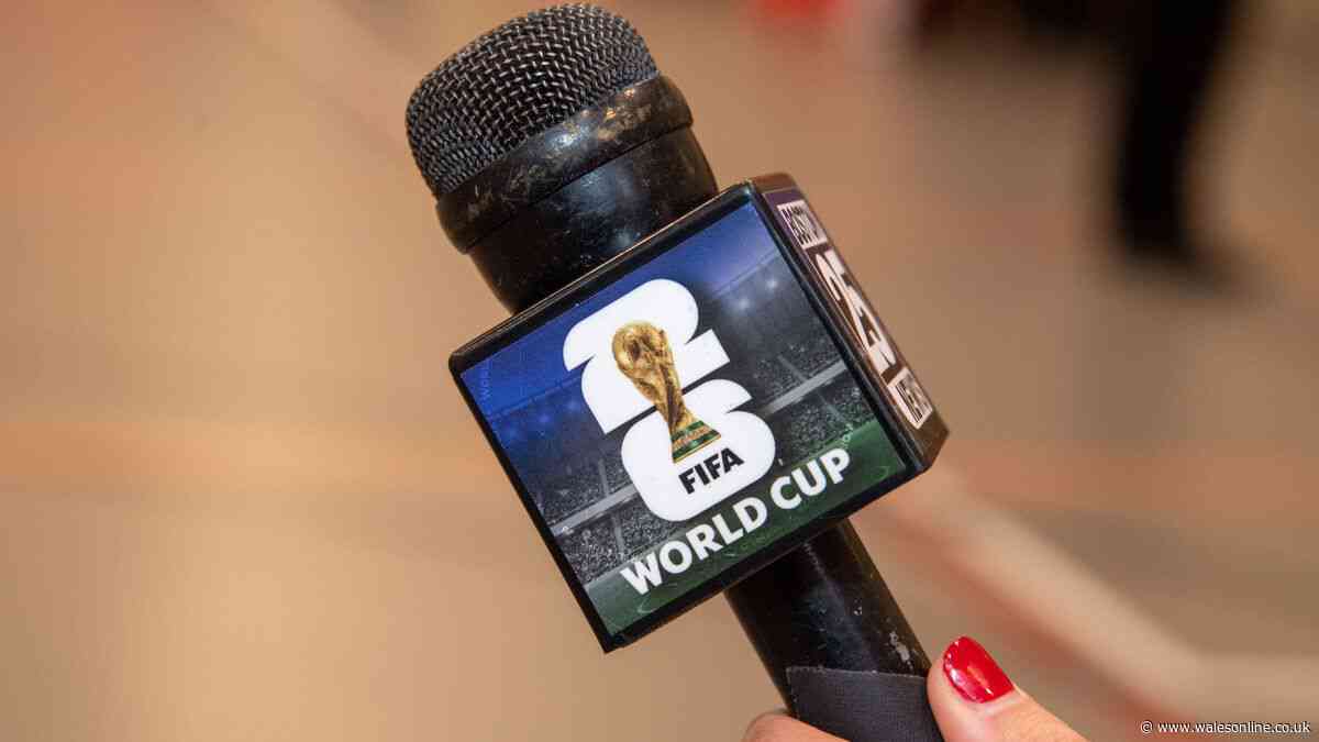 World Cup commentator banned from working on any more matches after stunning outburst