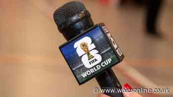 World Cup commentator banned from working on any more matches after stunning outburst
