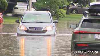 After more flooding, West Island municipalities looking into long-term solutions
