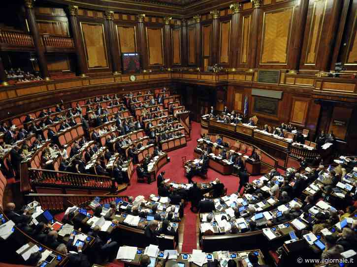 Ddl Caccia, appello trasversale a Meloni: "Lo ritiri"