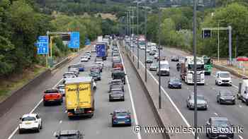 75-year-old man killed in M4 crash