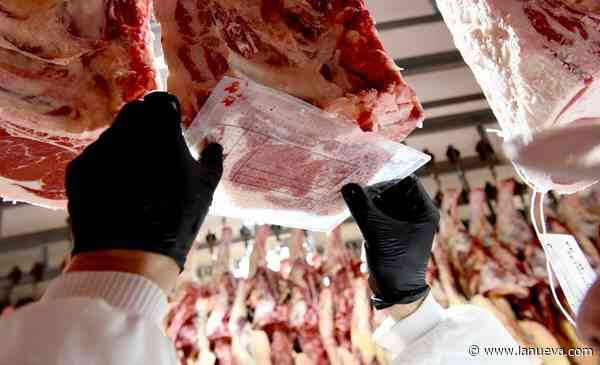 Carne vacuna: una menor oferta y precios estancados evidencian la elasticidad de las proteínas