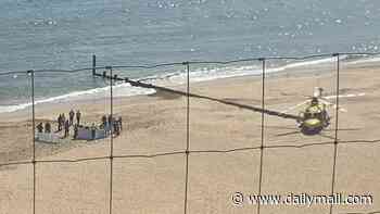 Woman dies after 'suffering medical emergency' in the sea at popular beach - as onlookers tried to save her