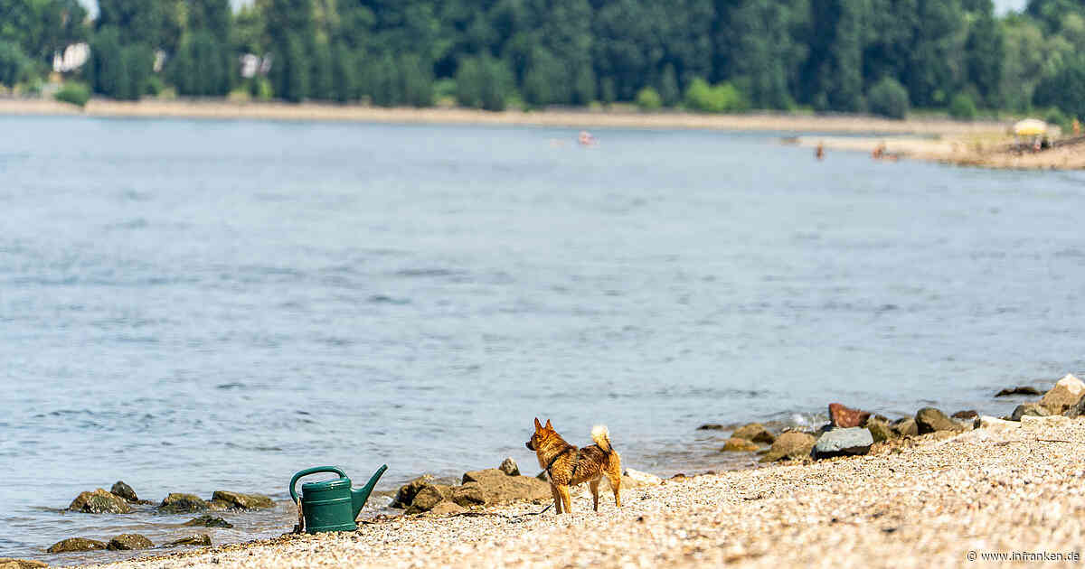 Drei Tote aus dem Rhein in Hessen geborgen - Polizei äußert sich