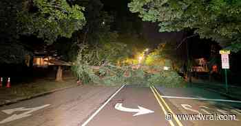 Strong overnight storms topple trees, knock out power for hundreds in Granville County