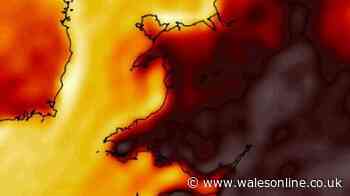 Heatwave live updates as amber warning begins in Wales with major disruption expected