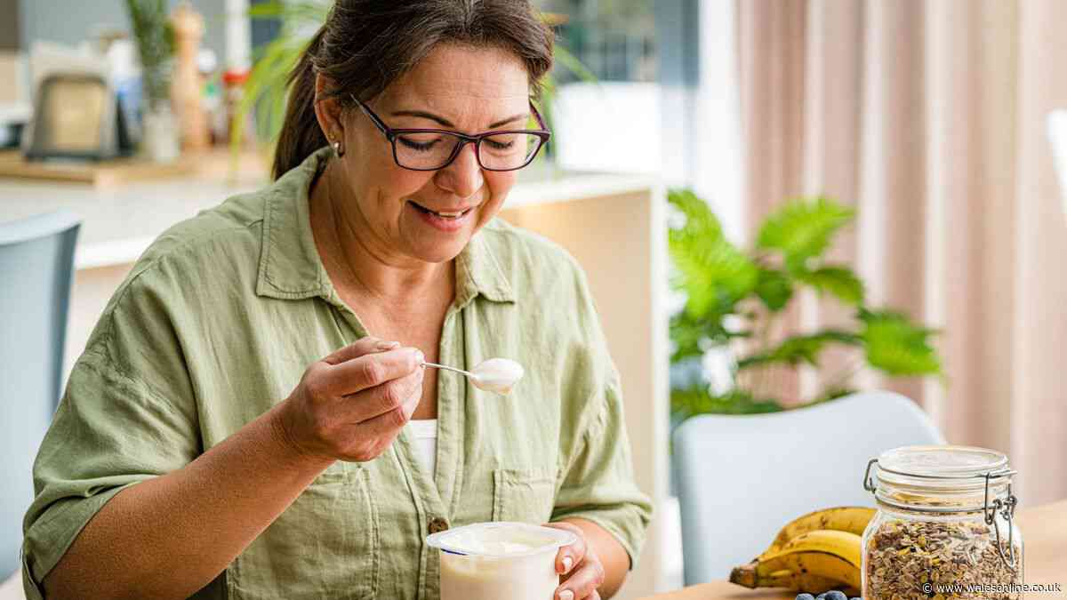 Greek yoghurt vs natural yoghurt — major differences and benefits explained