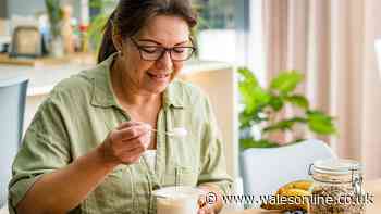 Greek yoghurt vs natural yoghurt — major differences and benefits explained