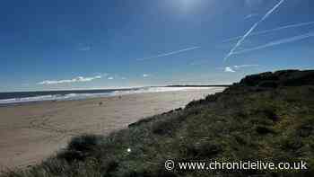 Alcohol free festival to take place at Northumberland's 'most picturesque' beach in July