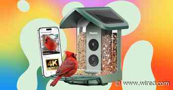 Best Prime Day Smart Bird Feeder Deals (2026)