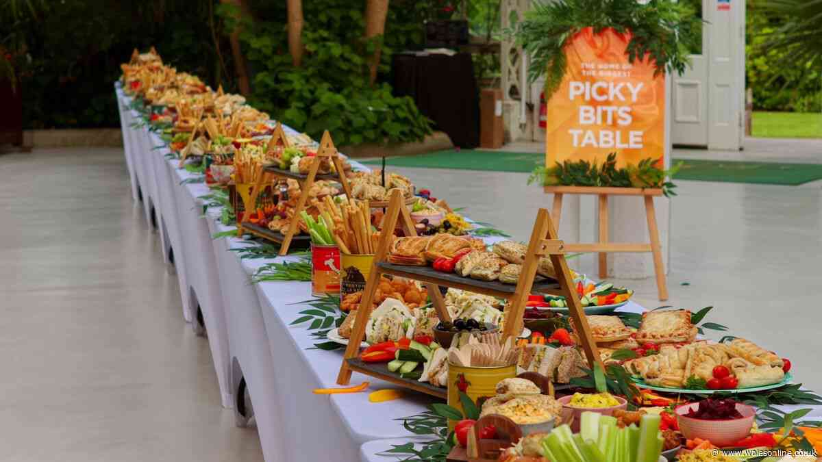 65ft-long table filled with 15,000 'picky bits' for record