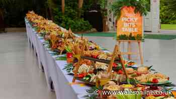 65ft-long table filled with 15,000 'picky bits' for record