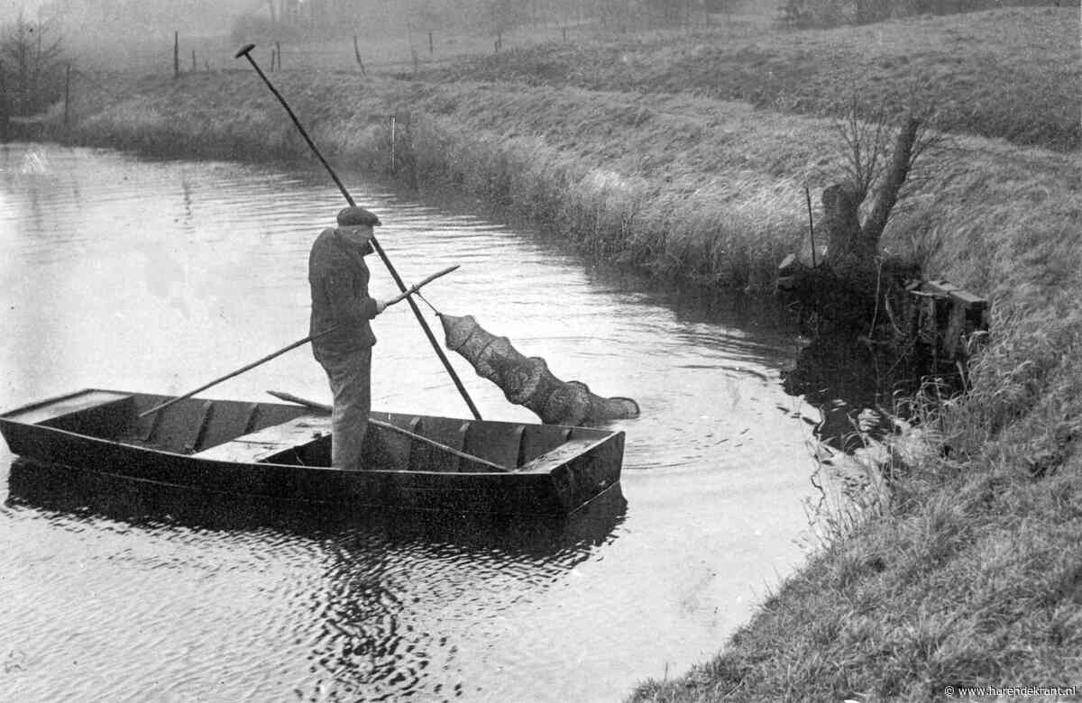Vissen brengen leven in Drentsche Aa