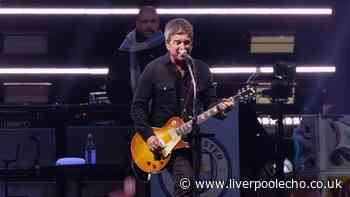 Oasis fans in meltdown after what they spotted on BBC