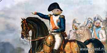 De dwergmangoest is de Napoleon van de savanne, volgens nieuw onderzoek