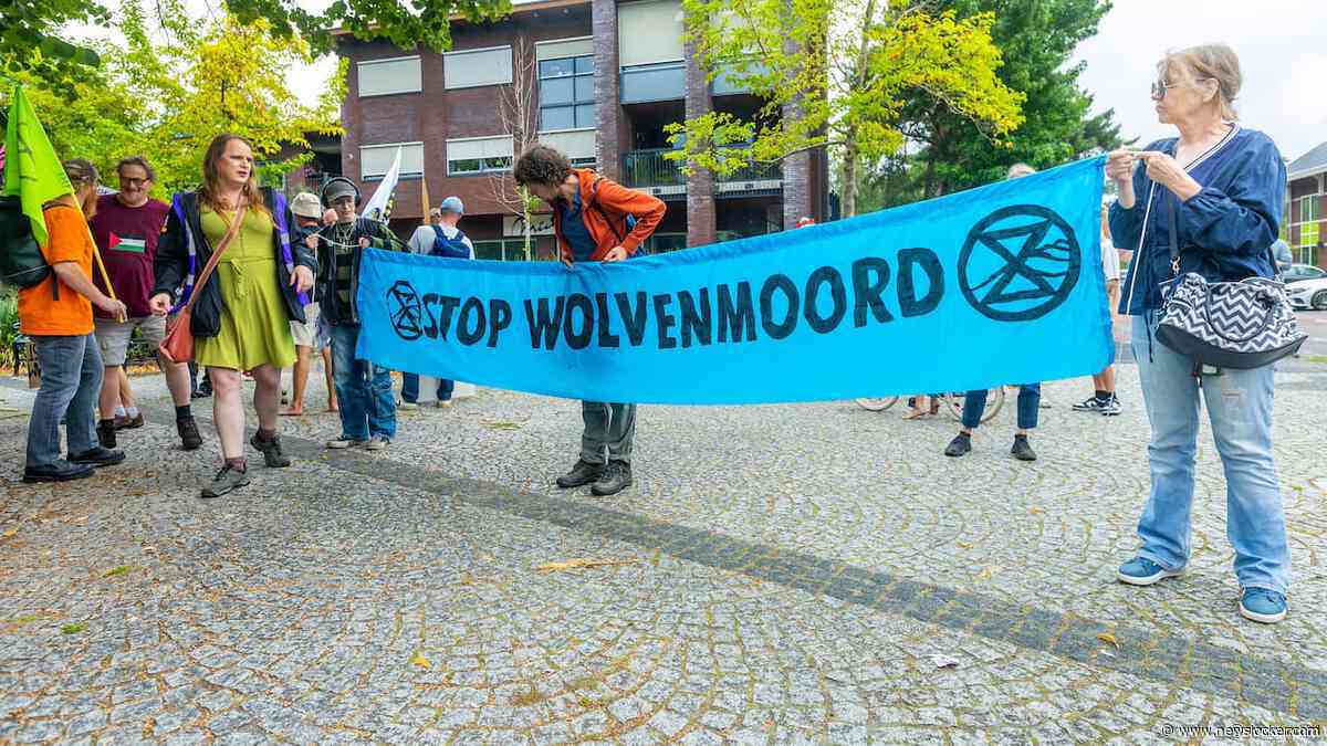 Onderzoek: zeker 41 dode wolven door 'systematische stroperij' in Nederland